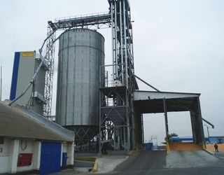 Бородянське ХПП збільшить потужності зі зберігання зерна утричі